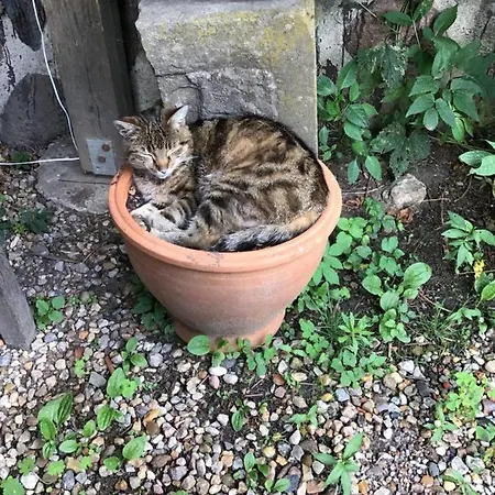 아파트 Jacob Garlstorf