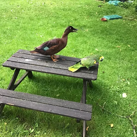 Apartamento Jacob Garlstorf