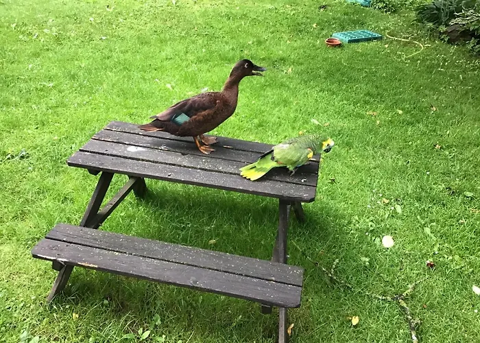 公寓 Jacob Garlstorf